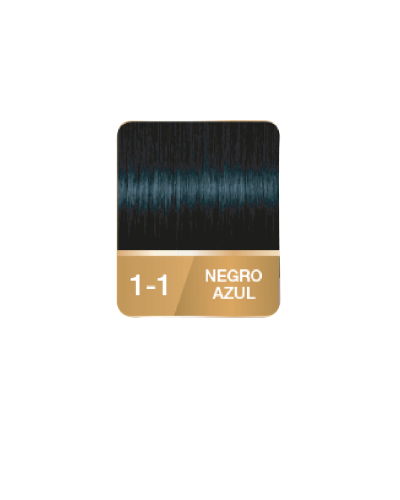 PALETTE NEGRO AZUL 1-1 X50 ML